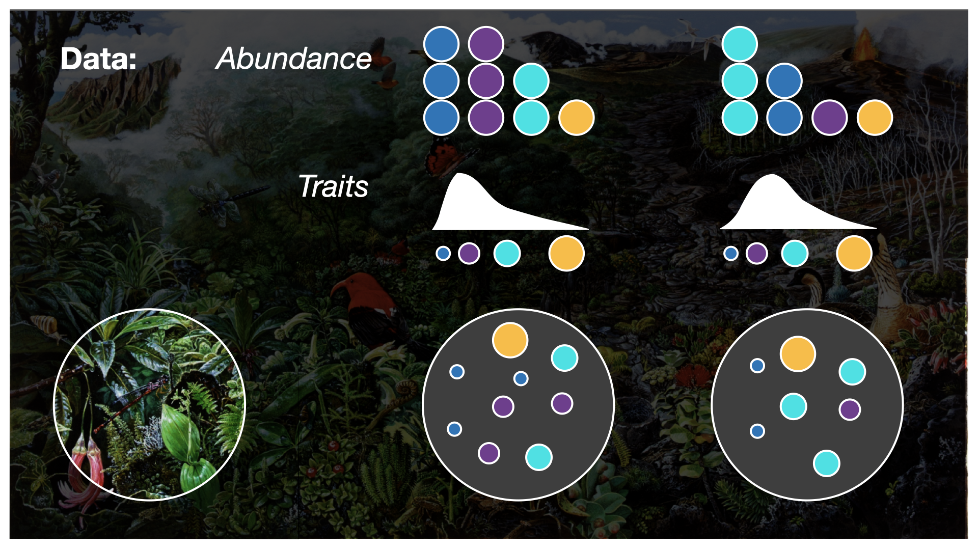 A figure showing a cartoon of organisms (shown as dots) with different colors representing different species, and different sizes of the dots representing body sizes—a common and useful trait.